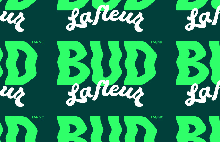 bud-logo